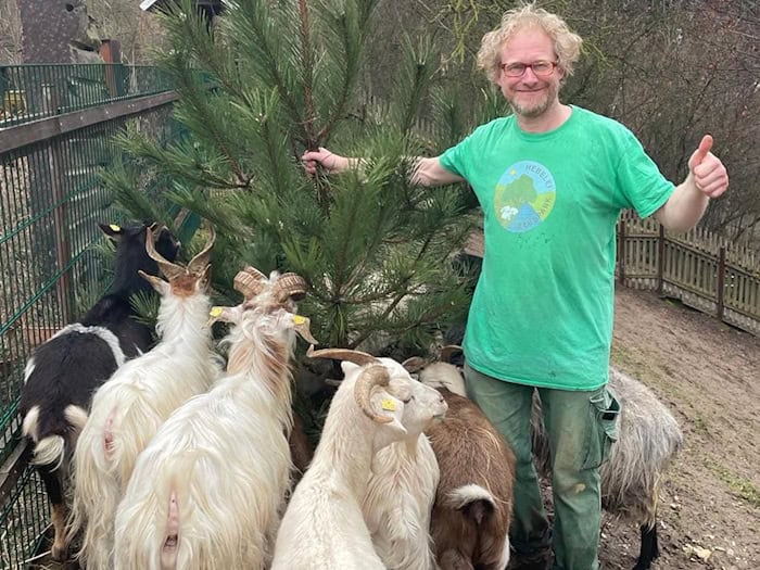 Betreiber Sven Näther verfüttert Weihnachtsbaum. Foto: Näther