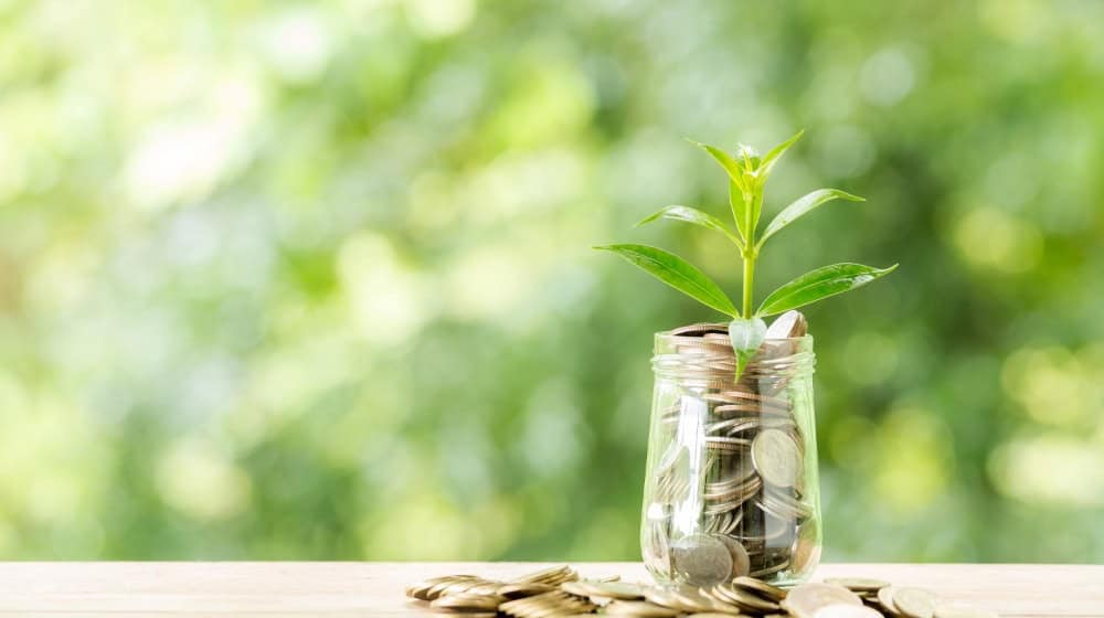 Münzstapel und Glas mit Münzen, aus denen kleine Pflanzen wachsen, als Symbol für nachhaltige Investitionen