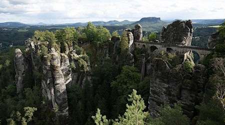 Der junge Mann stürzte acht Meter in die Tiefe. (Archivbild) / Foto: Sebastian Kahnert/dpa