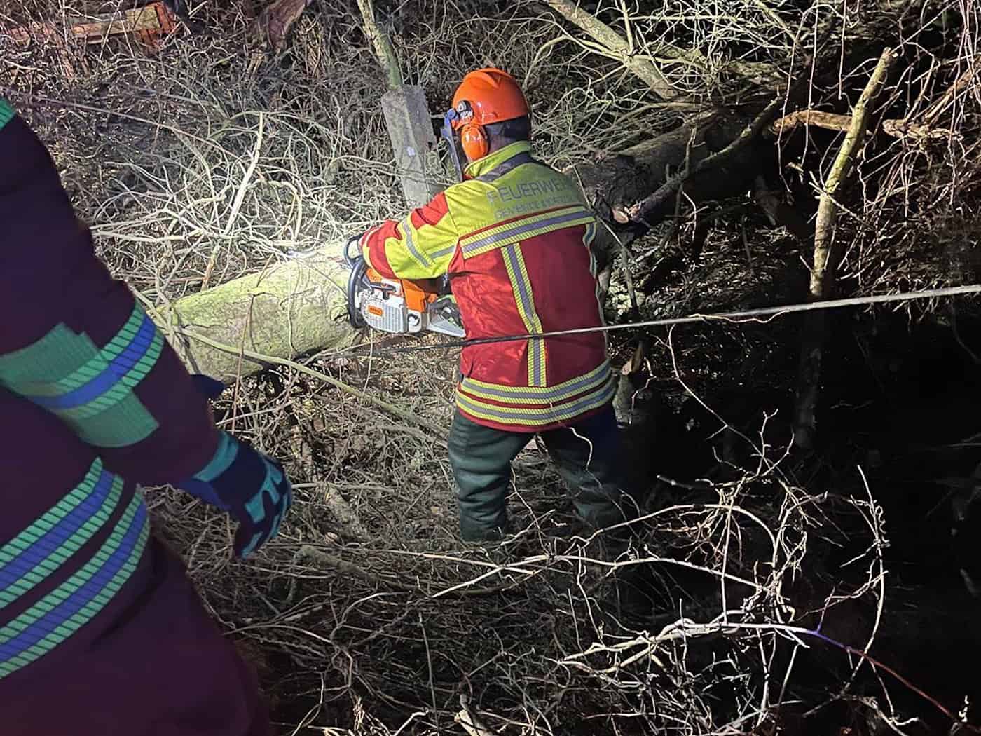 Feuerwehr Moritzburg mit der Kettensäge am Auer im Einsatz. Foto: Feuerwehr Moritzburg