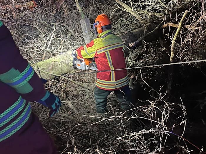 Feuerwehr Moritzburg mit der Kettensäge am Auer im Einsatz. Foto: Feuerwehr Moritzburg