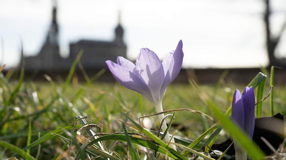 Aprilwetter in Sachsen - Mittwoch bringt Sonne und 15 Grad. (Symbolbild) / Foto: Sebastian Kahnert/dpa