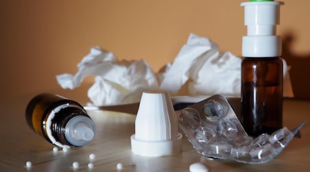 Symbolbild Influenza / pixabay flockine