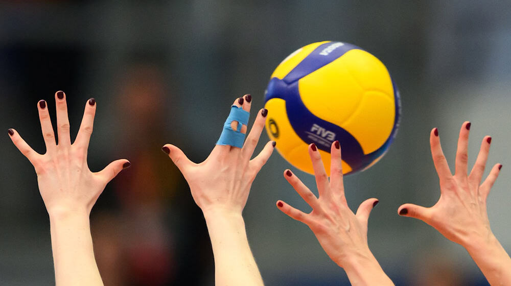 The Dresden volleyball players fulfill their compulsory task against Borken / Photo: Robert Michael/dpa