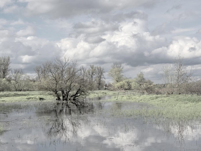 Symbolbild Hochwasser / pixabay Peggychoucair