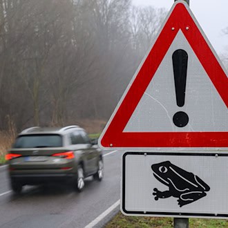 Bei diesem Schild sollten Autofahrer den Fuß vom Gas nehmen. So helfen sie Amphibien, die die Straße überqueren. (Symbolbild) / Foto: Patrick Pleul/dpa