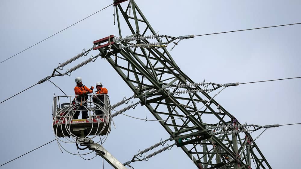 For Saxony, it's all about cheap electricity, new plants and connecting companies to the grid (archive photo) / Photo: Jan Woitas/dpa