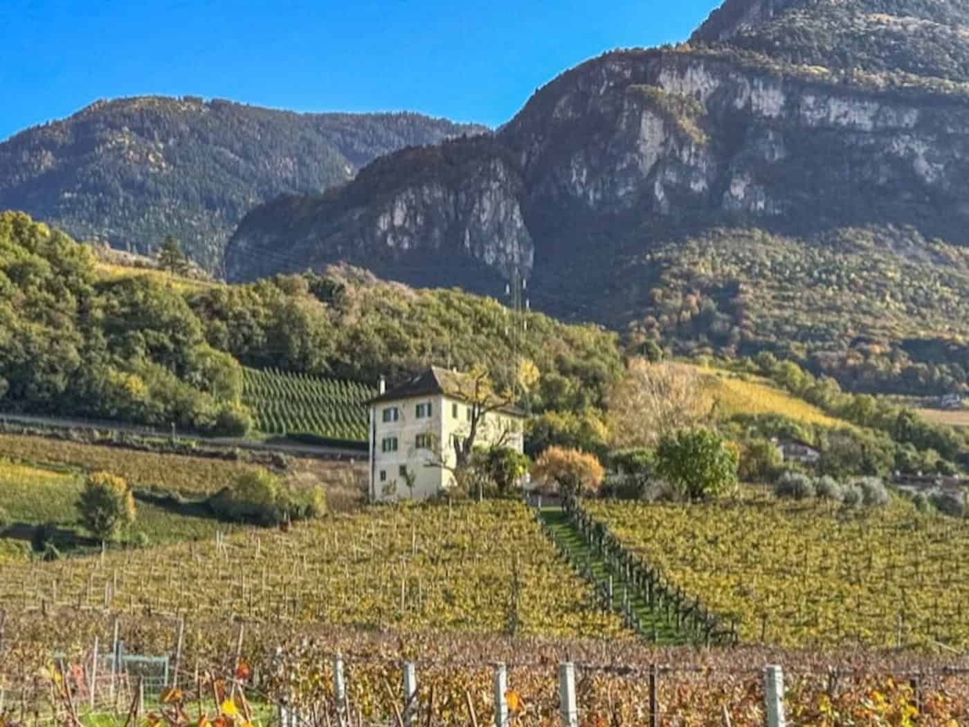 Schlössl - the ancestral seat of baron Longo, in the middle of the vineyards of South Tyrol (Image: Ulrich van Stipriaan)