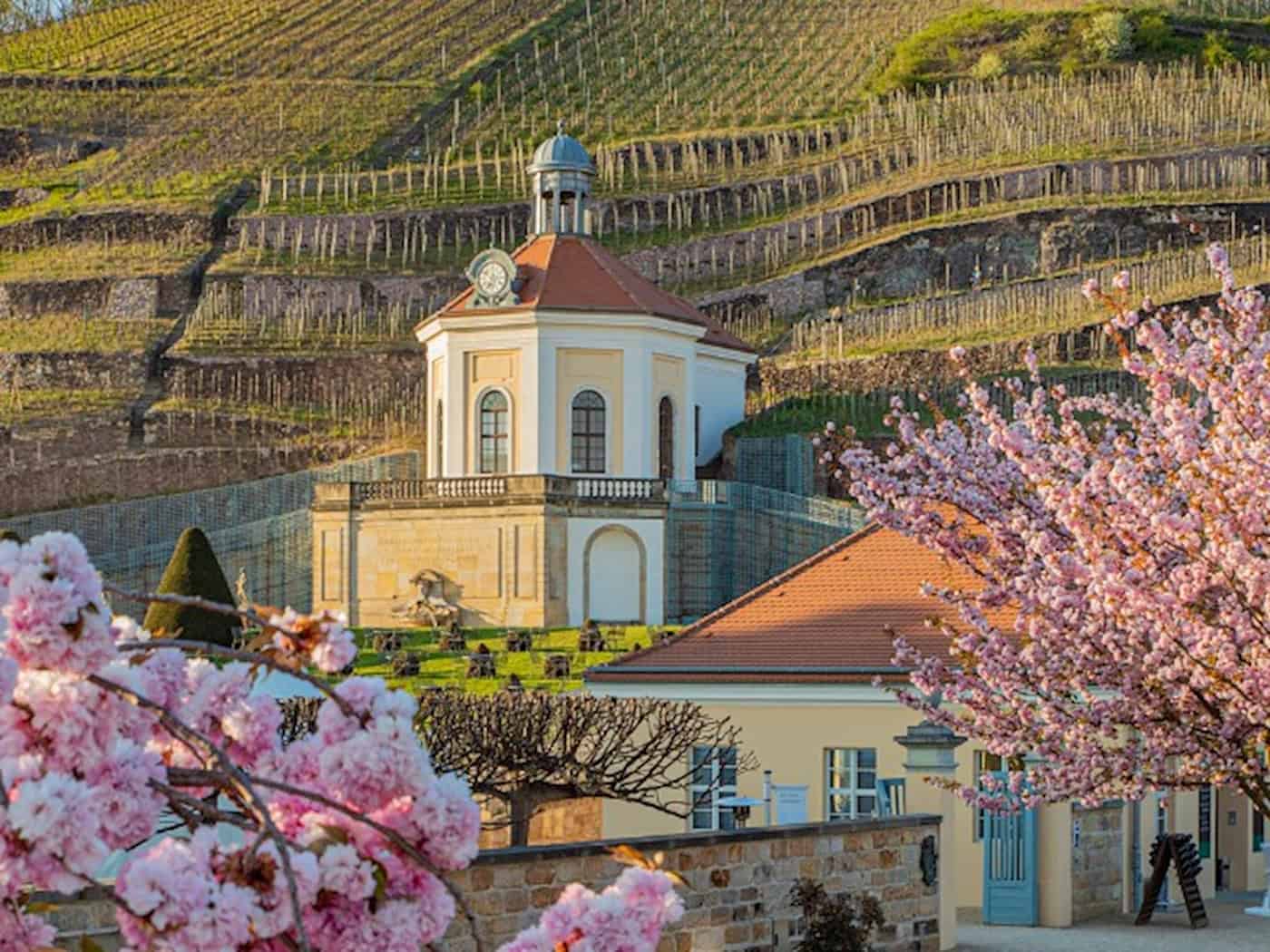 Schloss Wackerbarth im Frühling. Foto: Schloss Wackerbarth