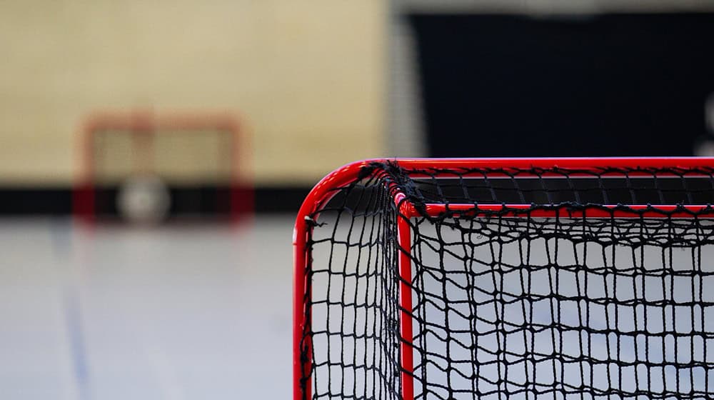 Symbolbild Eishockey / pixabay Familyschaffner