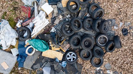 Reifen, Möbel und Bauschutt gehören zu den Abfällen, die häufig illegal in der Landschaft entsorgt werden (Archivbild)  / Foto: Philipp Schulze/dpa