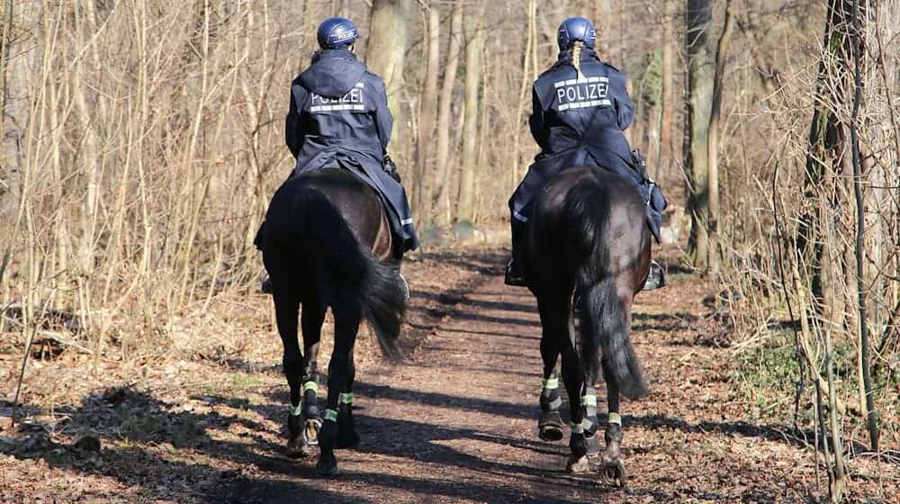 Police hunt wild garlic thieves in Leipzig's alluvial forest with the help of the equestrian squadron / Photo: Tobias Junghannß/dpa