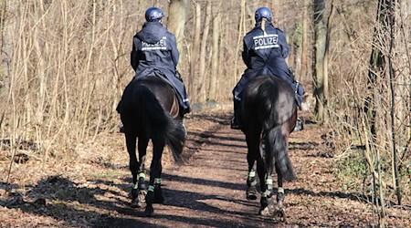Mit Hilfe der Reiterstaffel jagt die Polizei im Leipziger Auwald Bärlauch-Diebe. / Foto: Tobias Junghannß/dpa
