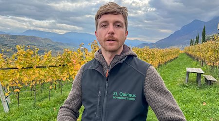 Michael Sinn im Weinberg oberhalb vom Kalterer See (Bild: Ulrich van Stipriaan)