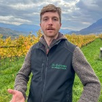 Michael Sinn im Weinberg oberhalb vom Kalterer See (Bild: Ulrich van Stipriaan)