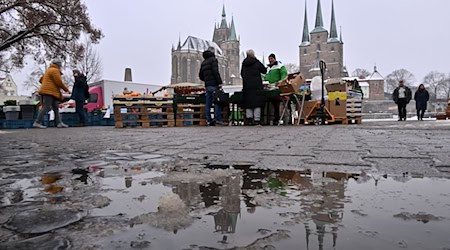 Die Temperaturen werden milder. (Archivbild) / Foto: Martin Schutt/dpa
