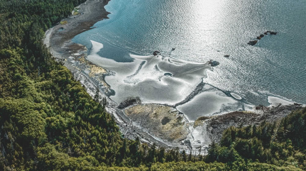 Teile des Misty Forest an der kanadischen Westküste gehören zu den von Diamir und Wilderness International unter Schutz gestellten Urwäldern.Foto: Wilderness International - Lukas Dürnegger