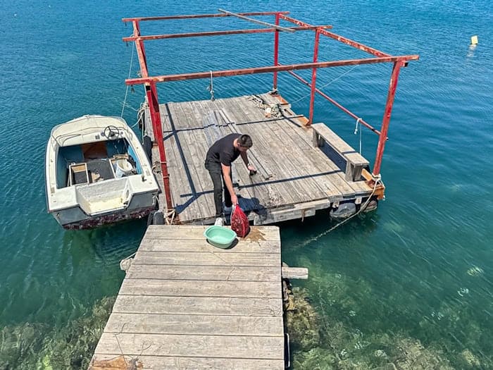 Austern und Muscheln kommen im Sutvid immer frisch aus dem Wasser direkt vom Anleger an der Gaststätte (Bild: Ulrich van Stipriaan)