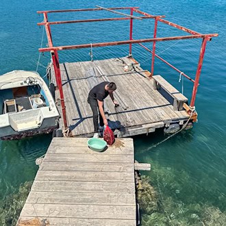 Austern und Muscheln kommen im Sutvid immer frisch aus dem Wasser direkt vom Anleger an der Gaststätte (Bild: Ulrich van Stipriaan)