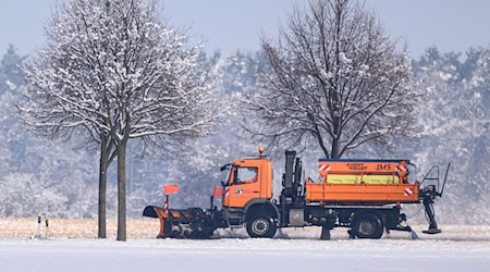 Přirodoškitar: Sypana sól w zymje škoduje štomy w lěću. (Symbolbild) / Foto: Patrick Pleul/dpa