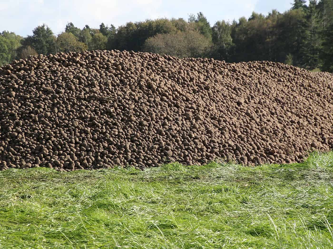 Symbolbild Grundstück / pixabay steenml