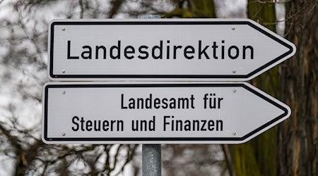 Gefälschte Arzneimittel: Landesdirektion Sachsen und Zoll stoppen 44 Lieferungen. (Symbolbild) / Foto: Robert Michael/dpa