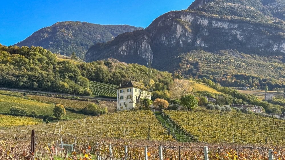 Schlössl - the ancestral seat of baron Longo, in the middle of the vineyards of South Tyrol (Image: Ulrich van Stipriaan)
