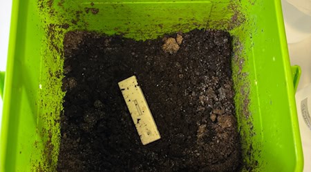 Biologisch abbaubar statt Plastikmüll: Der neue Schnelltest aus Sachsen schont die Umwelt.