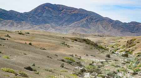 Trockenlandschaft im Nationalpark La Campana in Chile. Solche Gebiete bedecken fast die Hälfte der Erdoberfläche.