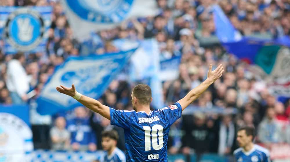 Star striker Edin Dzeko scored twice on his starting eleven debut for Schalke 04 / Photo: Bernd Thissen/dpa