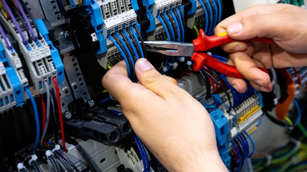 Ein Unbekannter machte sich in der Nacht an einem Stromkasten zu schaffen. (Symbolbild) / Foto: Sven Hoppe/dpa