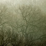 Umweltverbände sorgen sich angesichts vieler Bauprojekte um die biologische Vielfalt in Leipzig (Archivbild). / Foto: Jan Woitas/dpa-Zentralbild/dpa