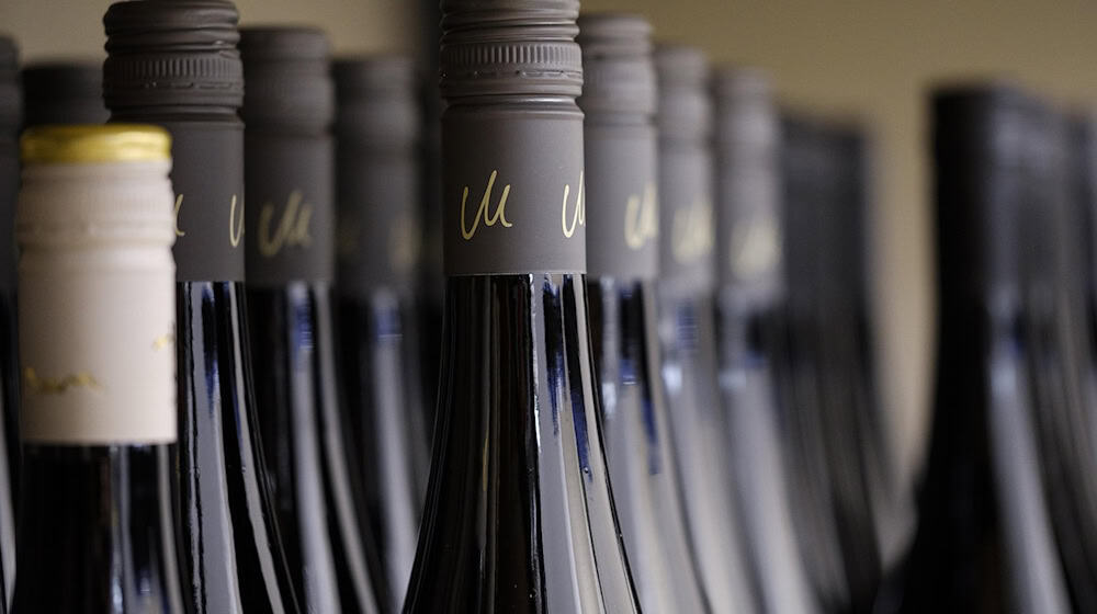 Symbolbild Weinflaschen / pixabay Bru-nO