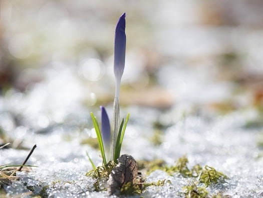 Ziemlich trocken und sonnig - der Winter in Sachsen