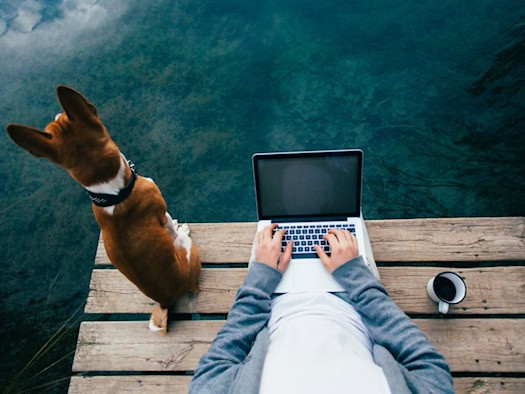 Digitaler Nomade arbeitet mit Laptop auf einem Steg über dem Wasser, begleitet von einem Hund – Symbol für ortsunabhängiges Arbeiten und die Freiheit des digitalen Nomadentums.