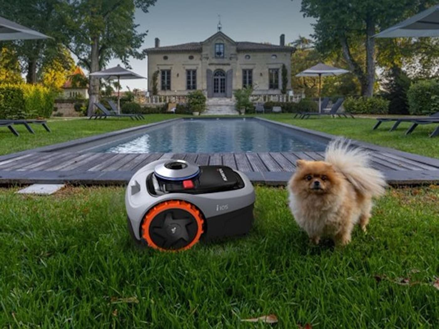 Kleiner Hund steht neben einem Roboter-Rasenmäher auf einem gepflegten Rasen mit Pool und Haus im Hintergrund