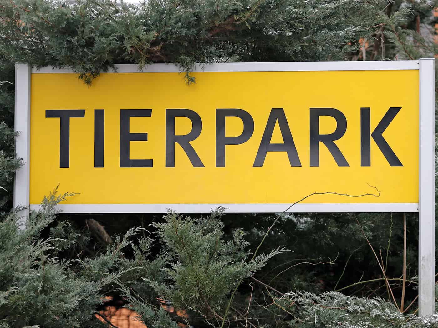 Kamjeničanski zwěrjenc powólnja škitne naprawy