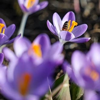 Es bleibt mild in Sachsen. (Symbolbild) / Foto: Jan Woitas/dpa
