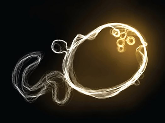 An early endosome - the sorting center inside the cell - with its membrane contours and the orange-labeled fat sphingomyelin. Dresden researchers have mapped it in such detail for the first time.