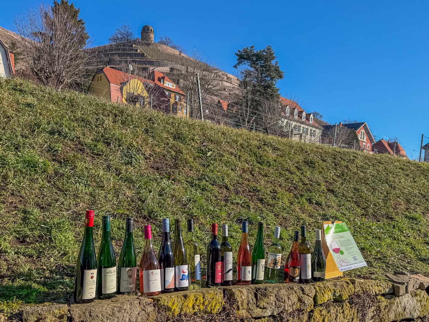 Radebeul: WeinWelten Nord-Ost unites 34 exhibitors - new wine fair in the conference center with consumer day, specialist day for traders, hourly tastings and extended gastronomy