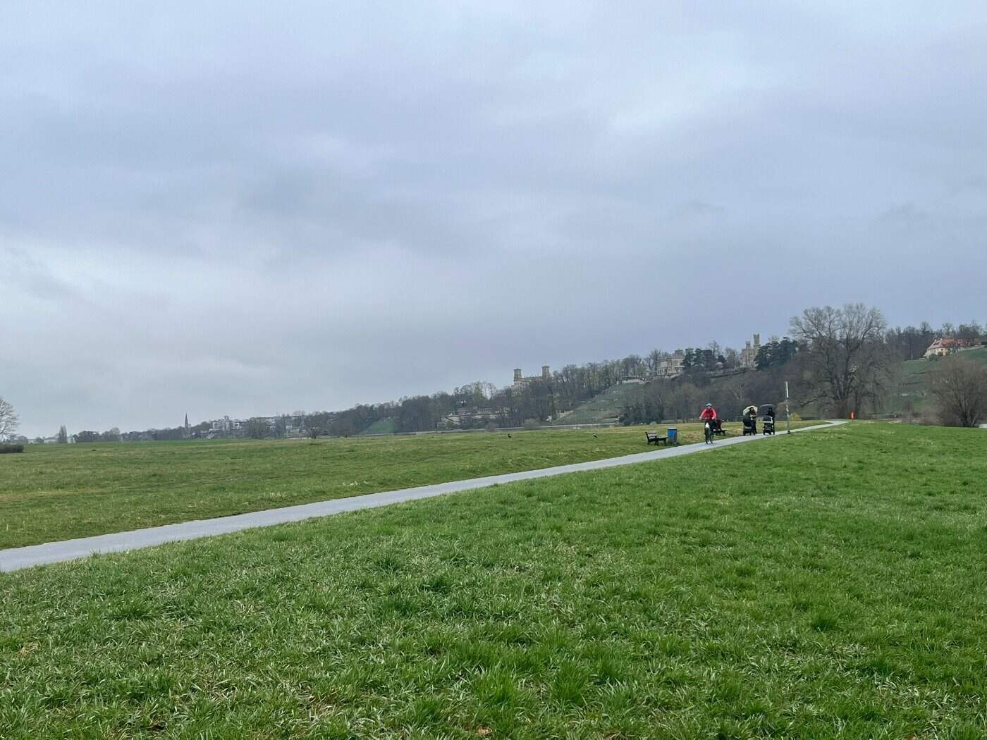 Radfahrer auf dem Elberadweg in Dresden-Blasewitz, Blickrichtung Waldschlößchenbrücke und Elbschlösser bei bewölktem Wetter.