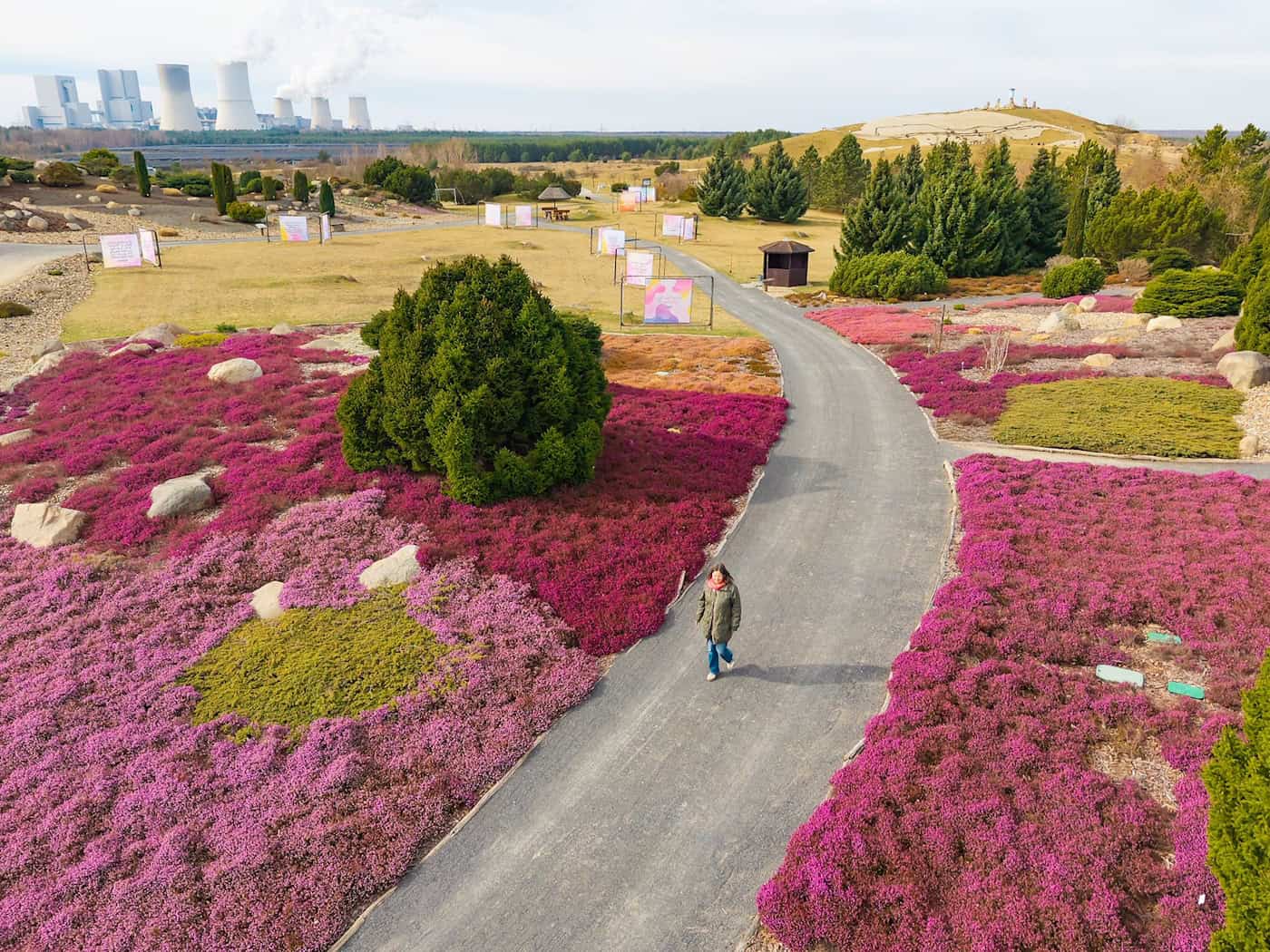 Світлове мистецтво та квіткова пишність у лужицькому парку хаотичних кварталів