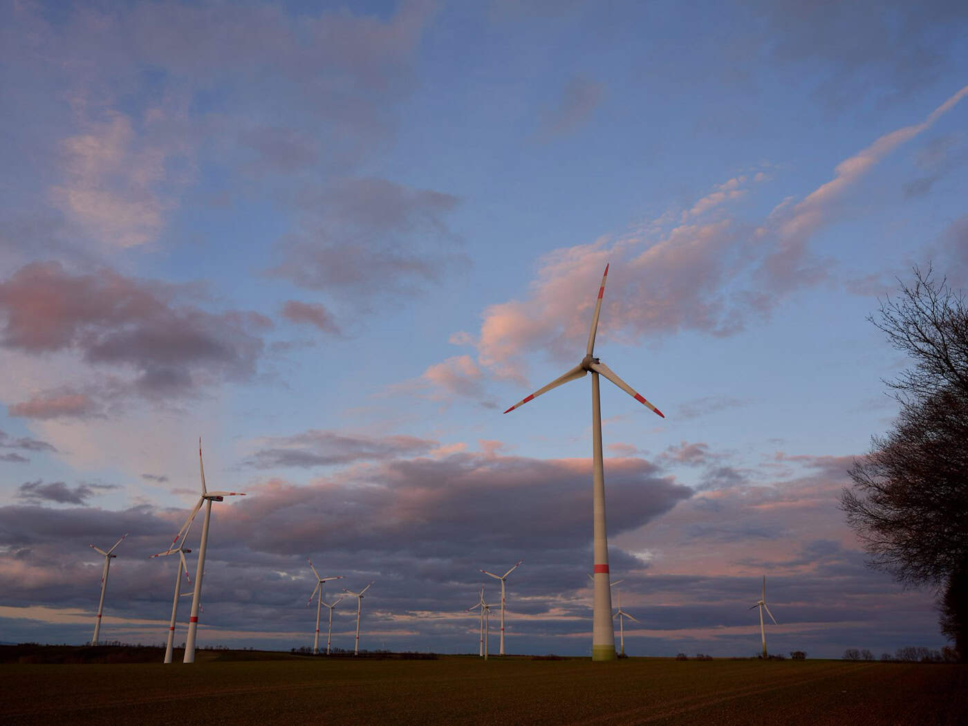 In the Saxon town of Naunhof (Leipzig district), the majority of residents have spoken out against the construction of wind turbines. (Symbolic photo) / Photo: Thomas Frey/dpa