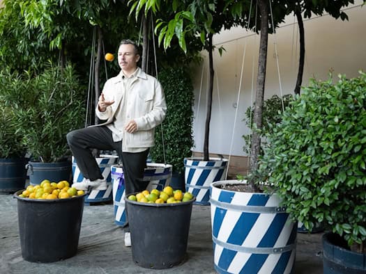 Purple Disco Machine wird Pate für Orangenbaum im Zwinger