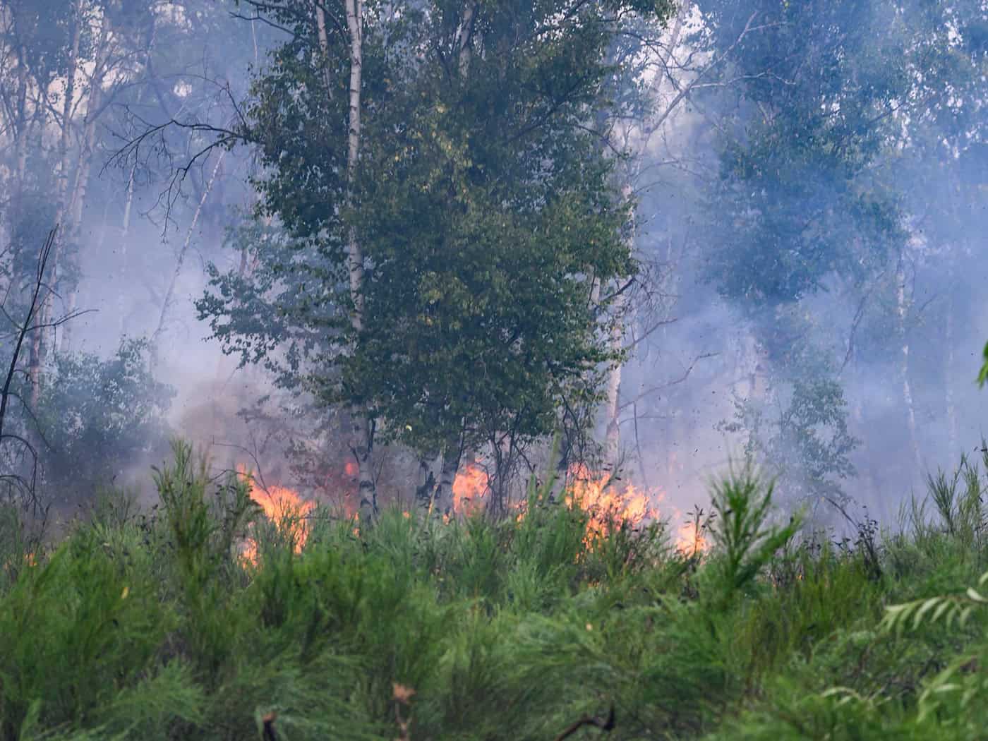 Sakska zahaji wšědne warnowanje před strachom lěsnych wohenjow