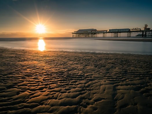 Sunlight as a raw material: Researchers want to replicate what plants have been able to do for millions of years. CASUS in Görlitz is making decisive progress in this area.