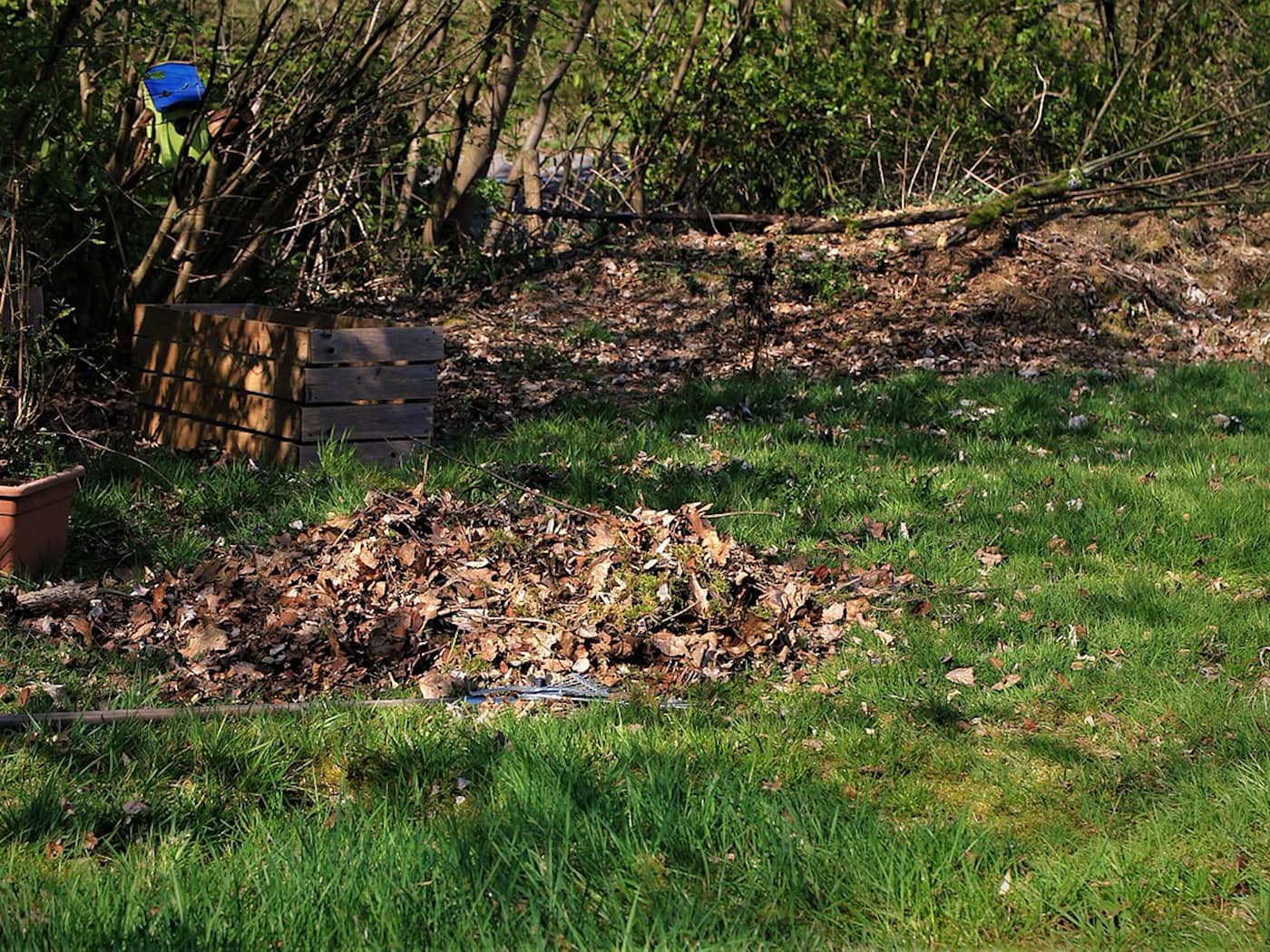 Frühjahrsputz in Radebeul: Freiwillige Helfer gesucht