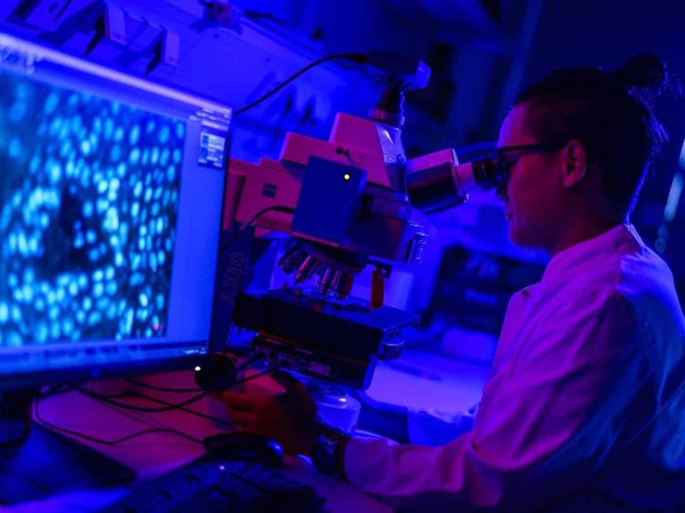 Forschung für ein besseres Leben nach dem Krebs: Am Universitätsklinikum Dresden untersuchen Wissenschaftler die Ursachen von Strahlenschäden im Gehirn.