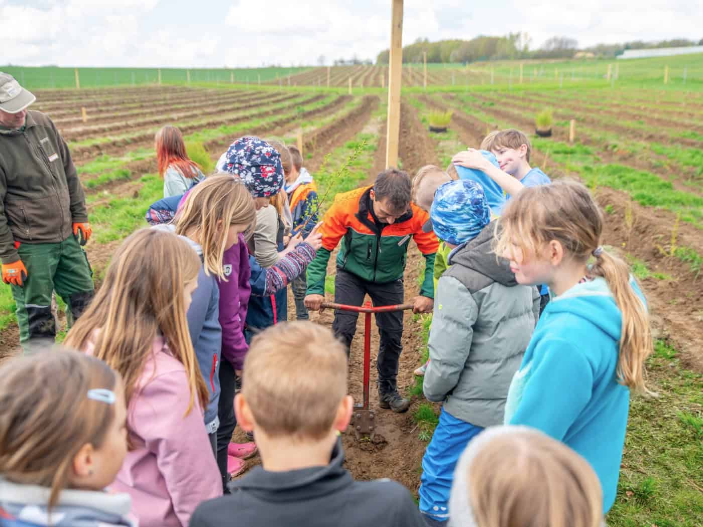 Kinder beim Pflanzen