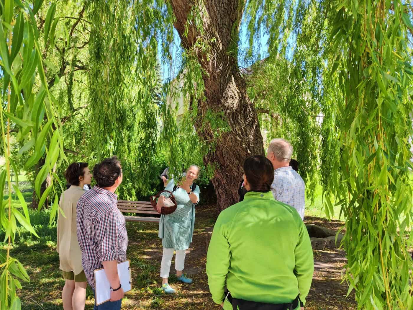 Wenn Bäume sprechen: Sonderführung im Klosterpark Altzella